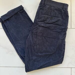 Express Dark Blue Corduroy Pants